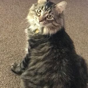 Meet your Posher, Carissa